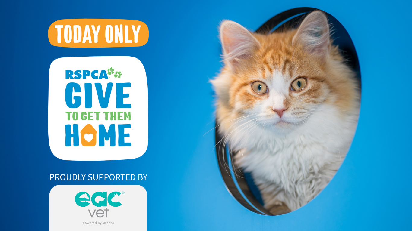 EAC Vet Partners with RSPCA Victoria to Support Shelter Pets