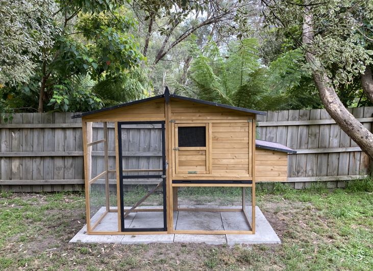 keeping chickens in a chicken coop