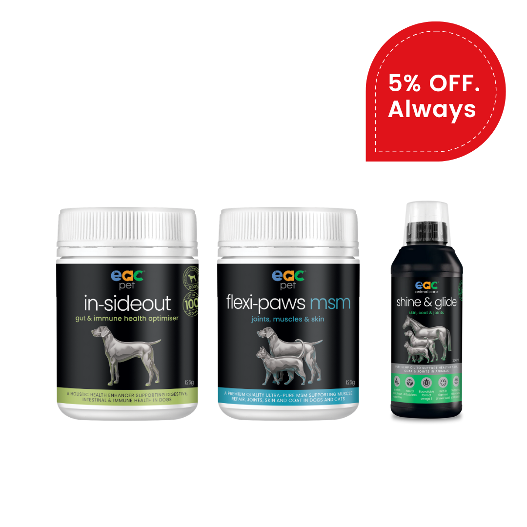 Skin and Coat Essentials for Itchy, Paw Licking Dogs