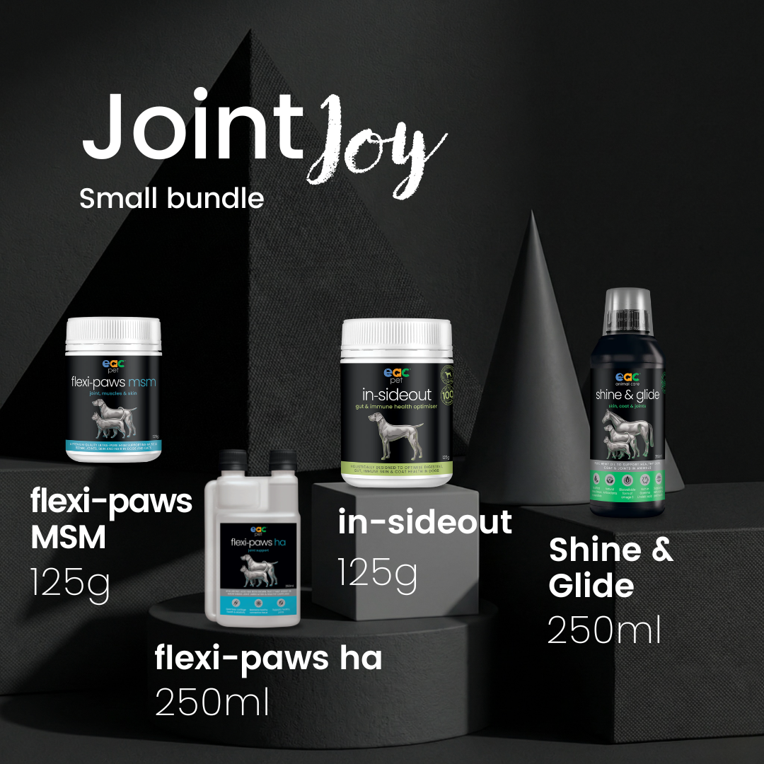 Joint Joy - Total Mobility & Comfort for Senior Dogs & Active Pets