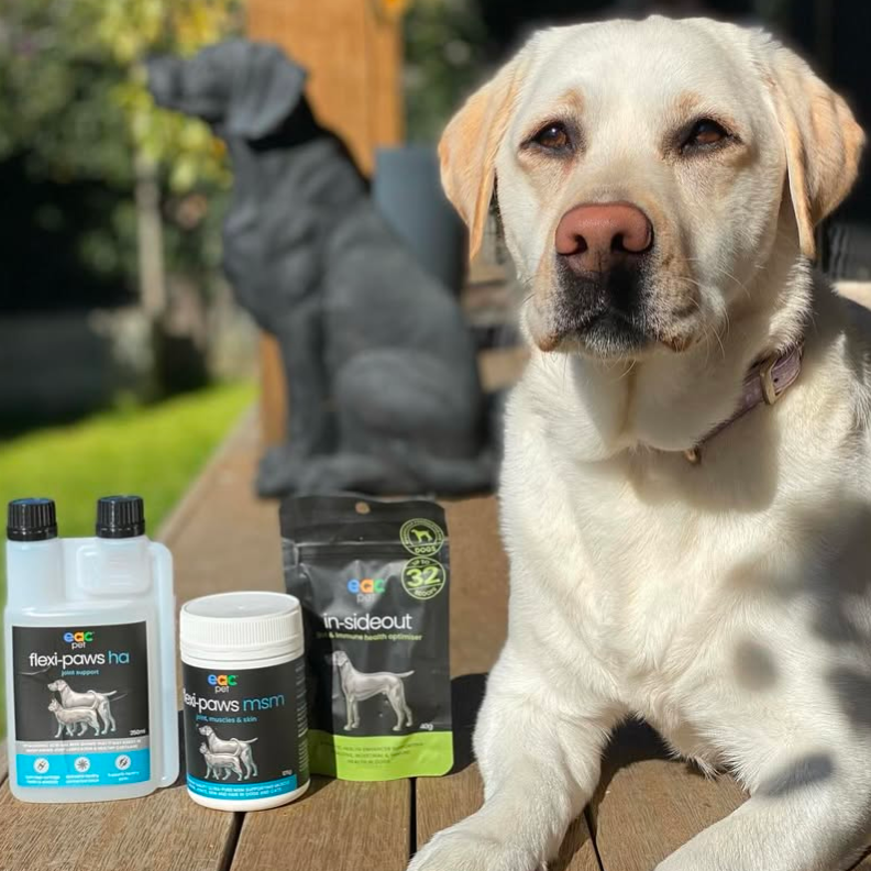 Joint Joy - Total Mobility & Comfort for Senior Dogs & Active Pets