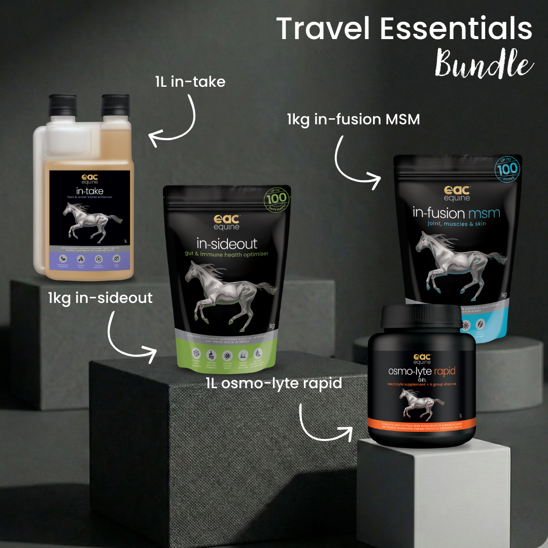 Travel Essentials Bundle - Complete Travel & Competition Support for Horses