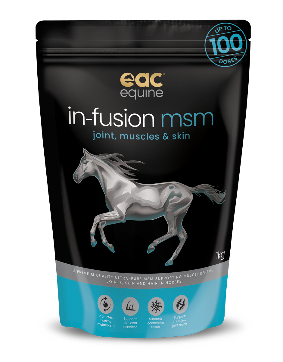 in-fusion msm - Ultra Pure Methylsulfonylmethane Joint Supplement For Horses, Dogs & Cats