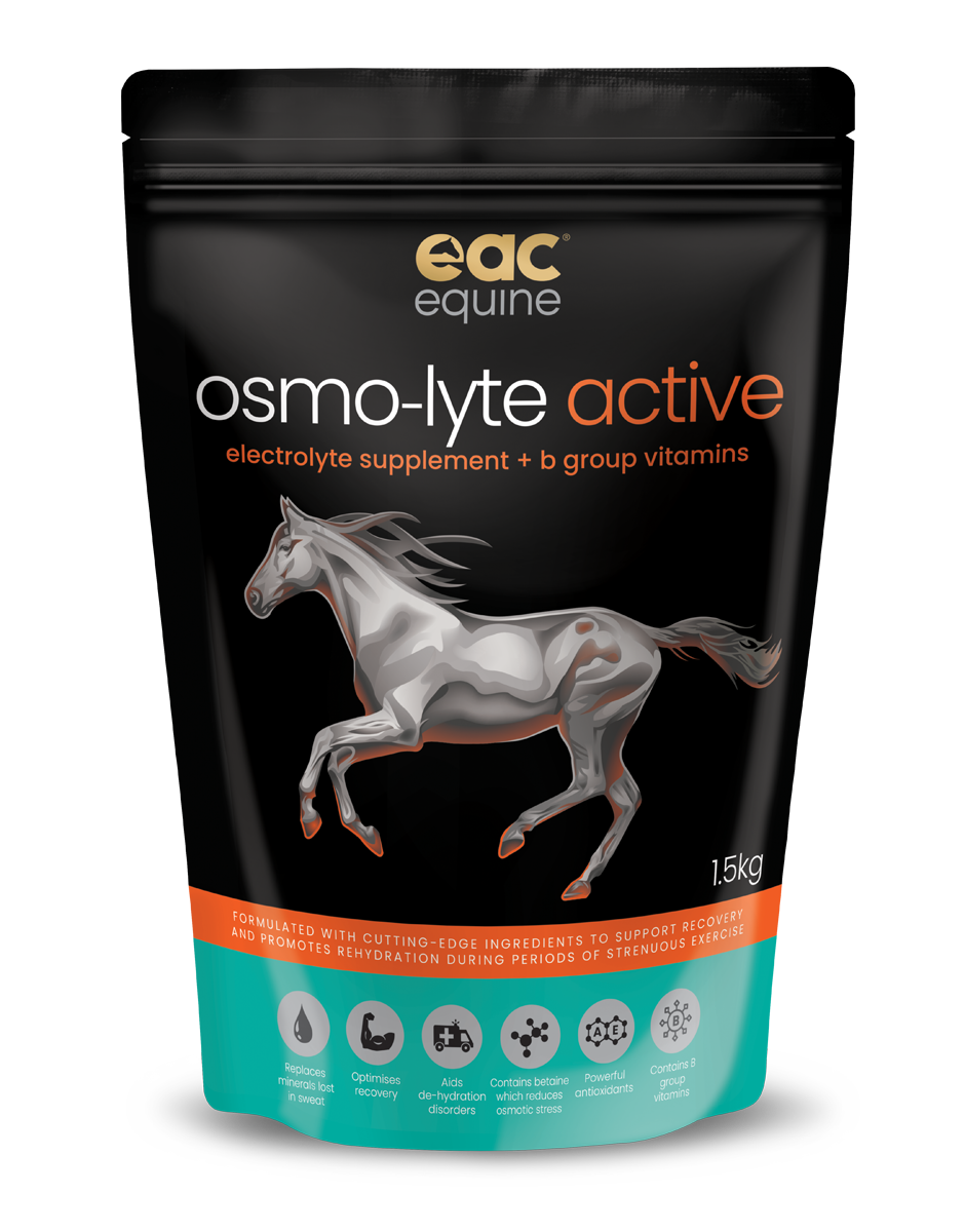 š osmo-lyte active - Electrolyte Supplement + B-Group Vitamins For Horses (10% off)