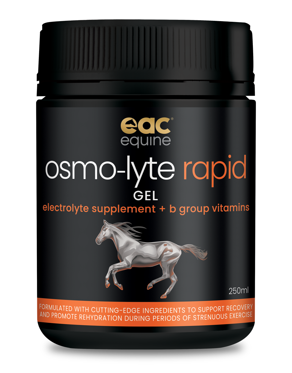 osmo-lyte rapid - Electrolyte Paste + B Group Vitamins