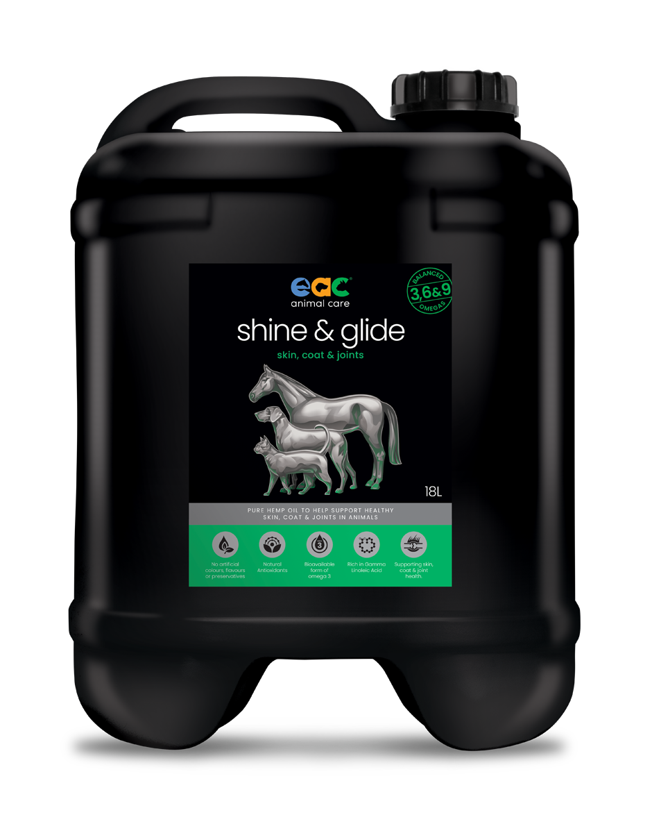 ๐ shine & glide - Pure Natural Cold-Pressed Hemp Oil for Horses, Dogs and Cats (10% off)
