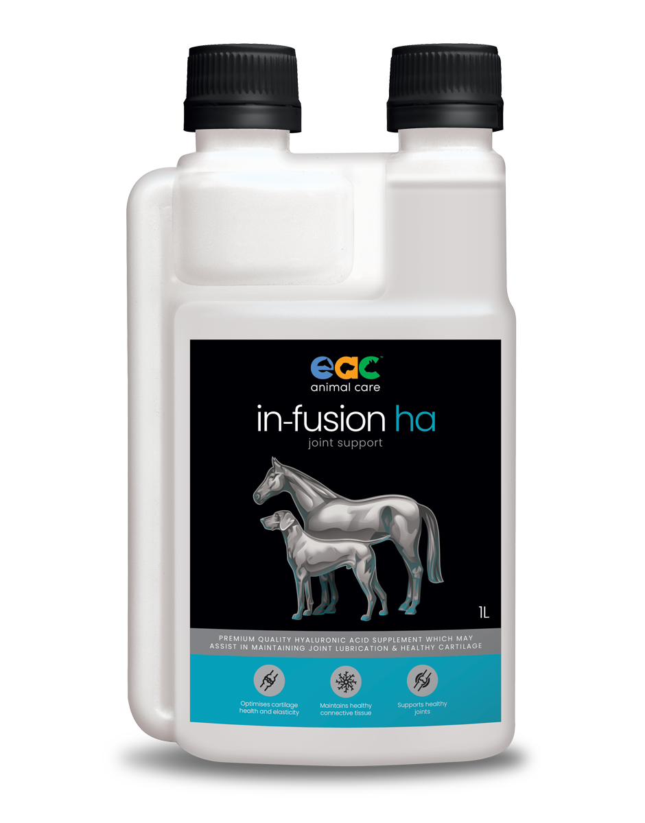 hyaluronic acid for horses 1L