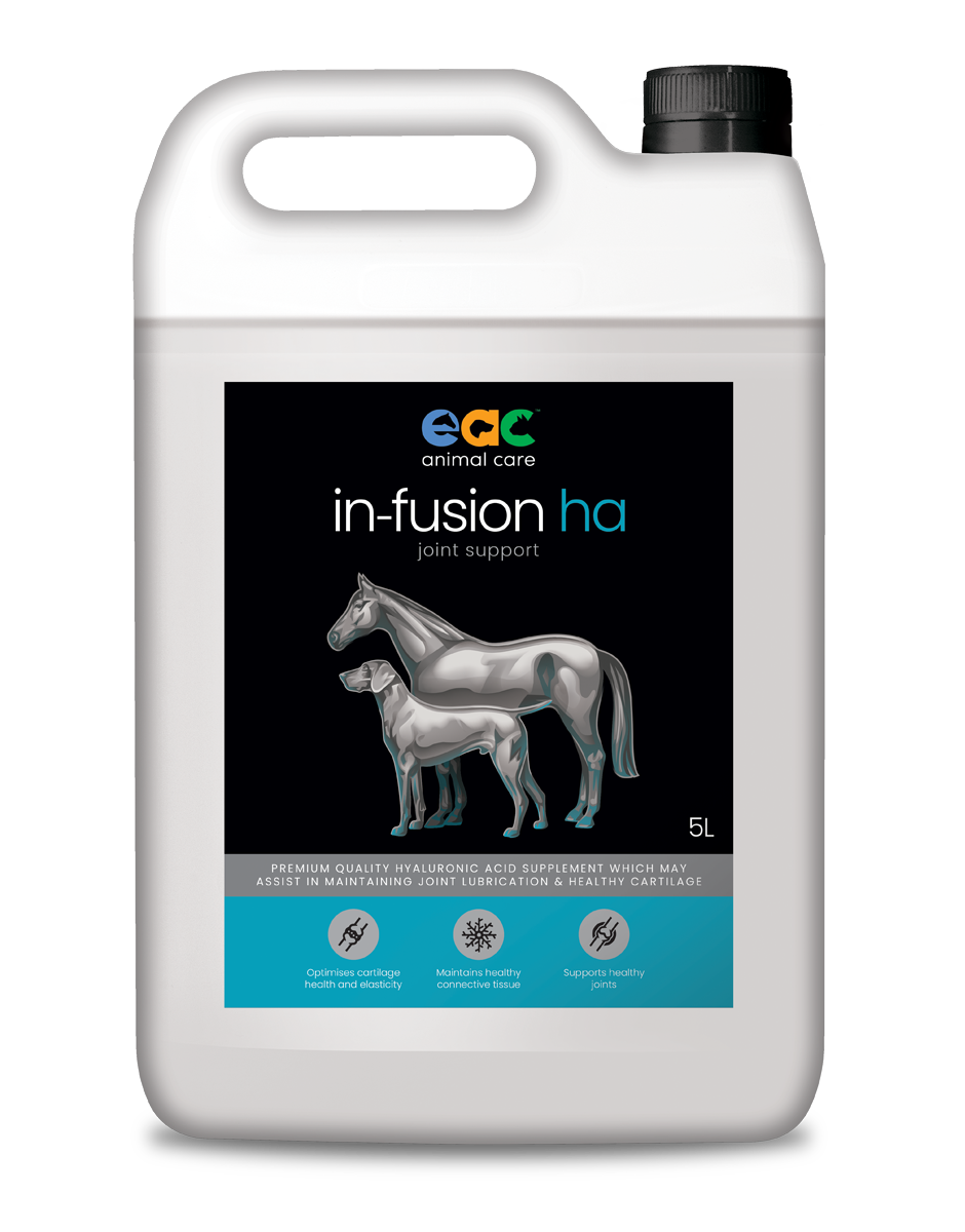hyaluronic acid for horses 5L