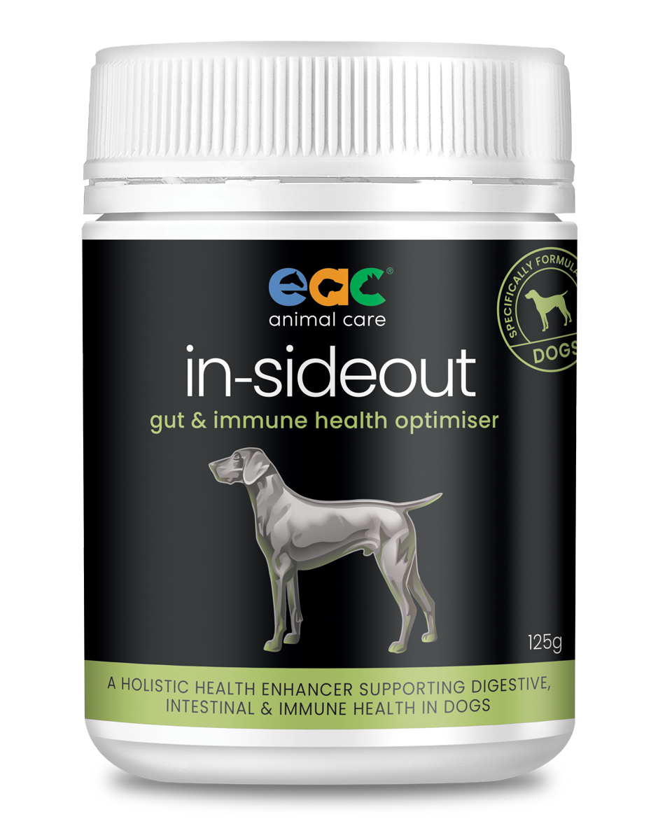 in-sideout Dog Formula - Pre & Probiotic Natural Nutraceutical Supplement For Dogs