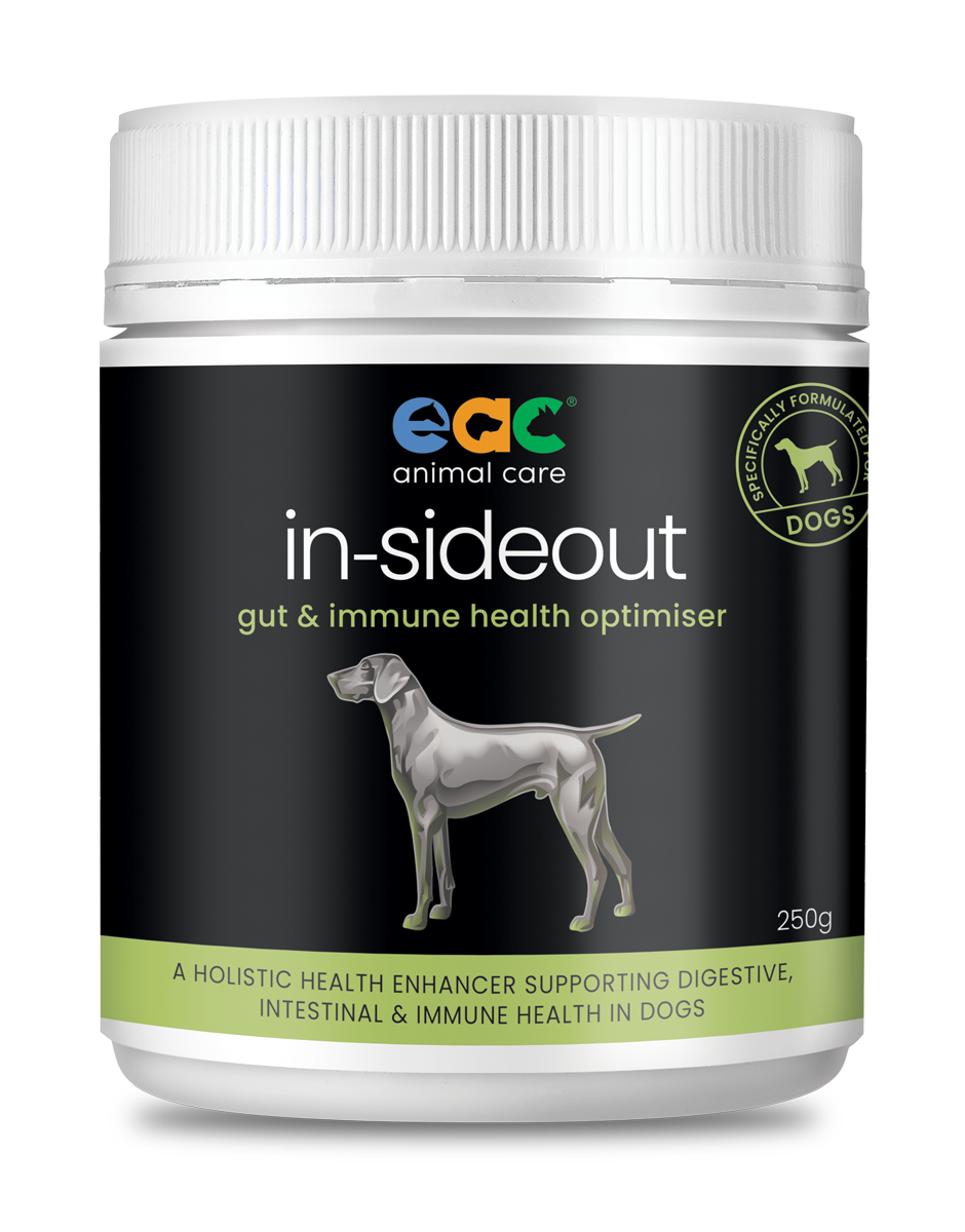 in-sideout Dog Formula - Pre & Probiotic Natural Nutraceutical Supplement For Dogs