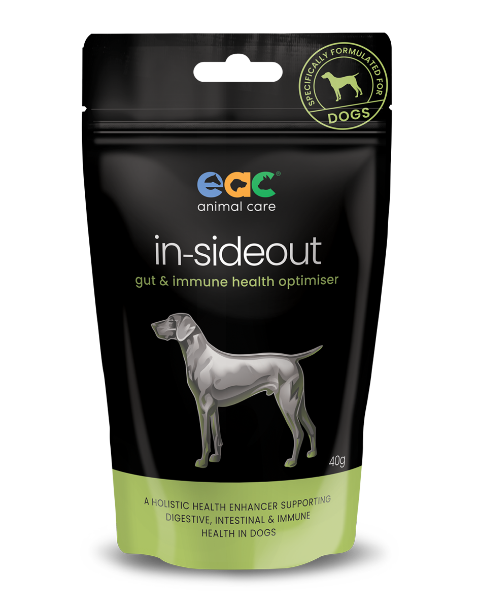 in-sideout Dog Formula - Pre & Probiotic Natural Nutraceutical Supplement For Dogs