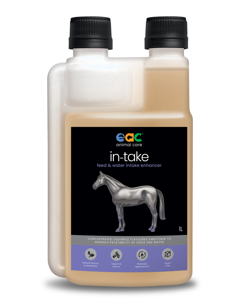 in-take - Feed and Water Enhancer for Horses