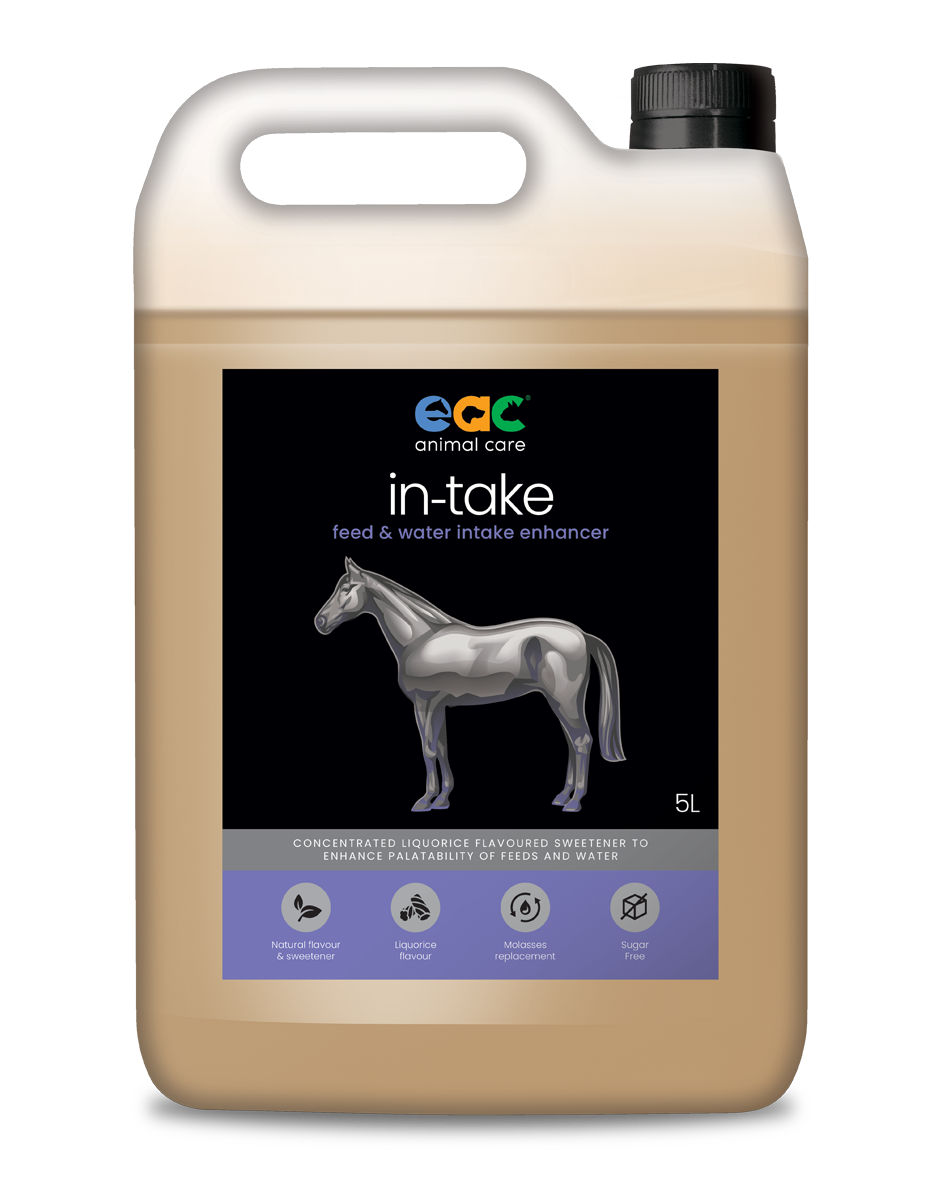 in-take - Feed and Water Enhancer for Horses