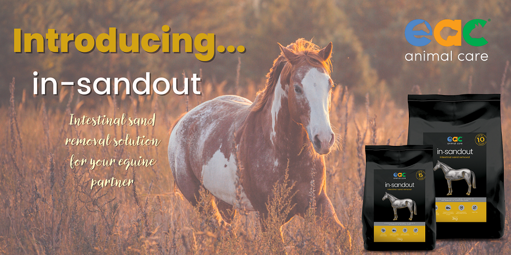 Managing Sand Accumulation In Horses With in-sandout - Trial