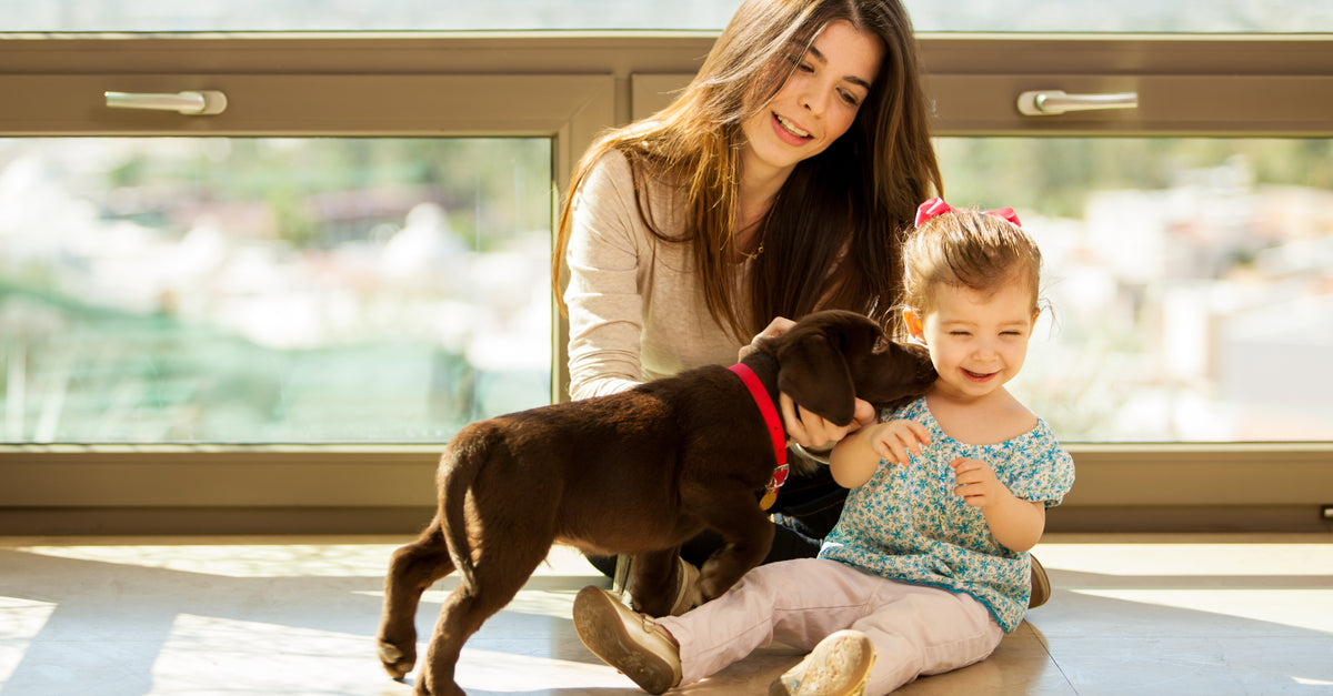 puppy with family