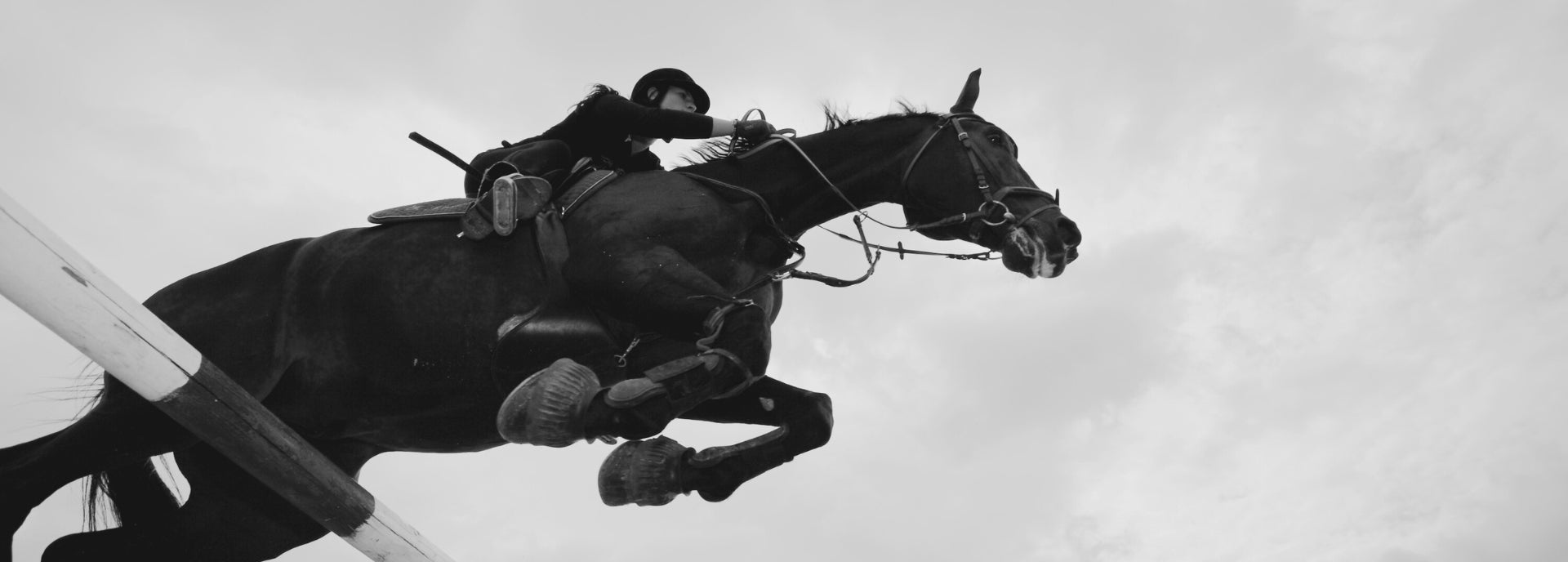 Equine Range