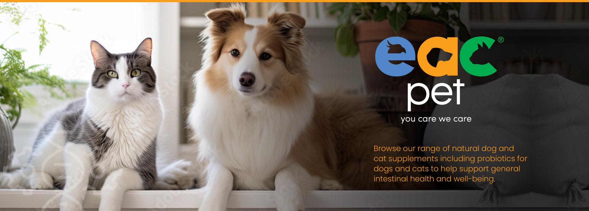 pet supplements