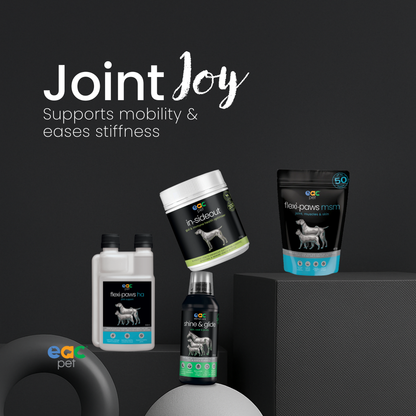 Joint Joy - Total Mobility &amp; Comfort for Senior Dogs &amp; Active Pets