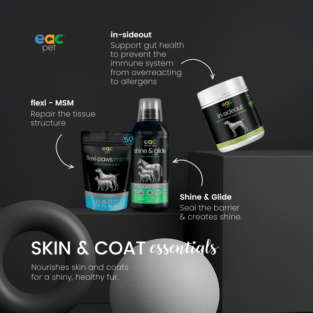 Skin and Coat Essentials for itchy, paw licking dogs
