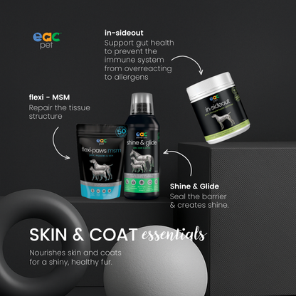 Skin and Coat Essentials for itchy, paw licking dogs