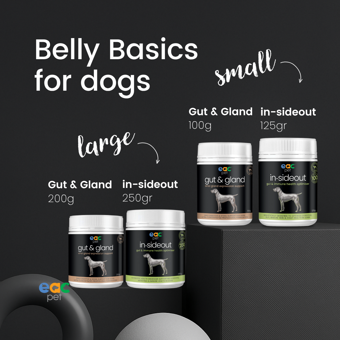 Belly Basics for Dogs