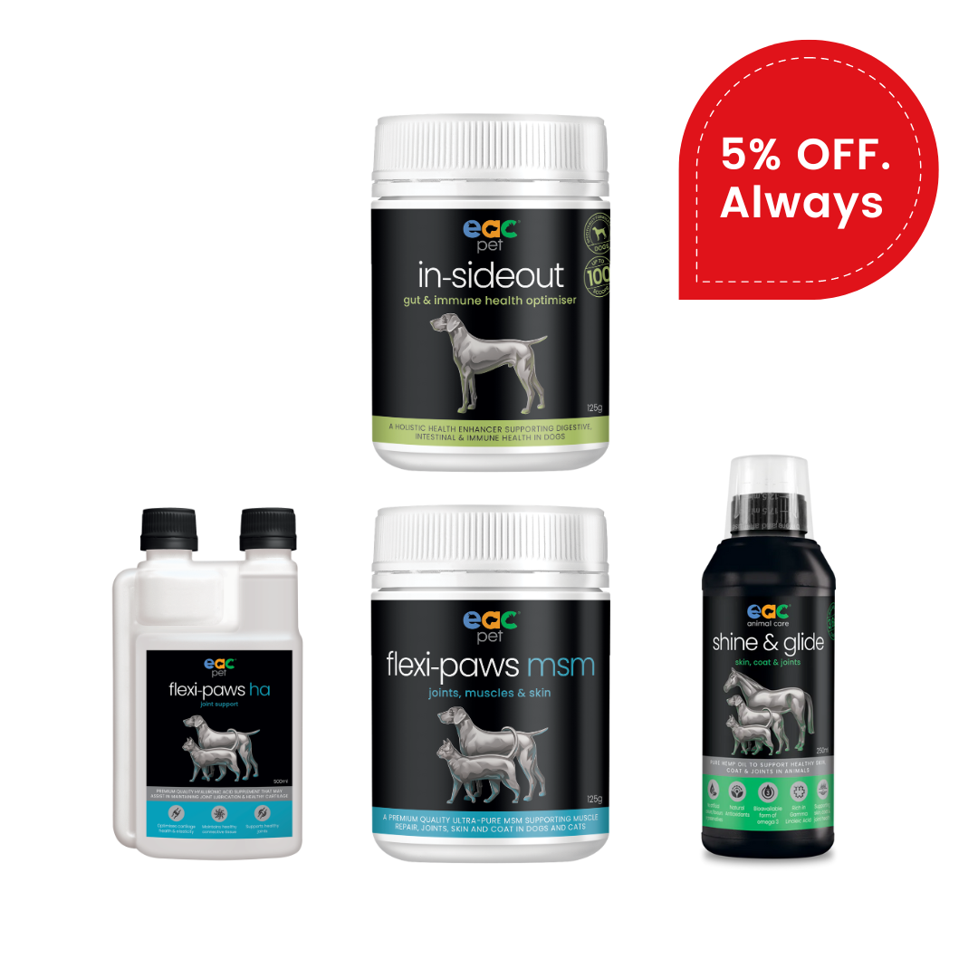 Joint Joy - Total Mobility &amp; Comfort for Senior Dogs &amp; Active Pets