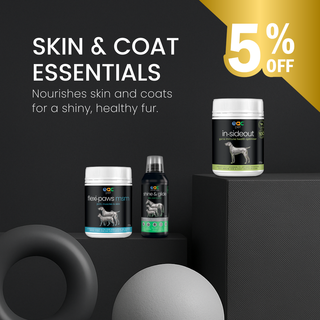 Skin and Coat Essentials for Itchy, Paw Licking Dogs