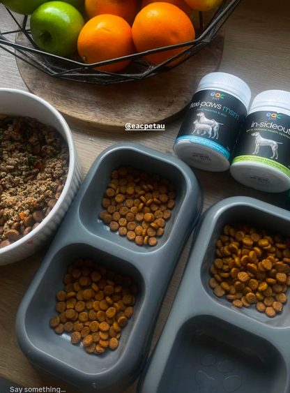 Skin and Coat Essentials for itchy, paw licking dogs