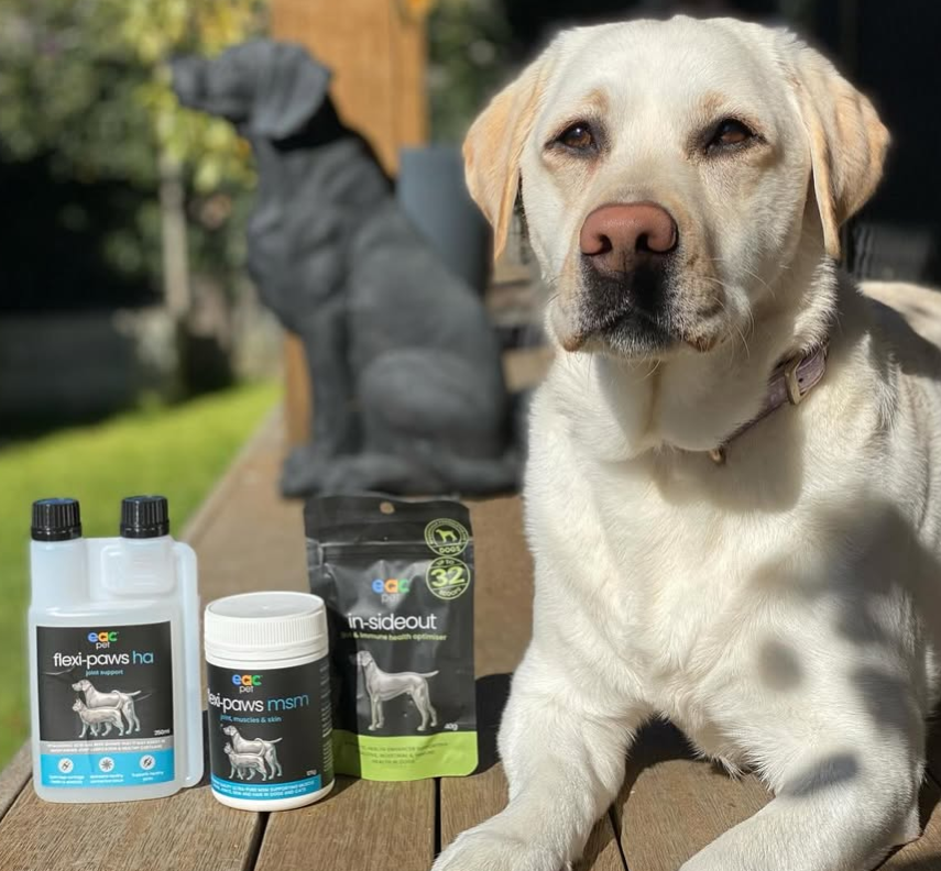 Joint Joy - Total Mobility &amp; Comfort for Senior Dogs &amp; Active Pets