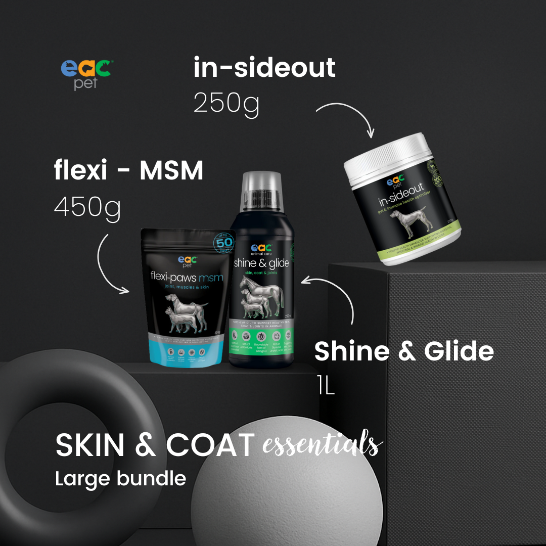 Skin and Coat Essentials for Itchy, Paw Licking Dogs