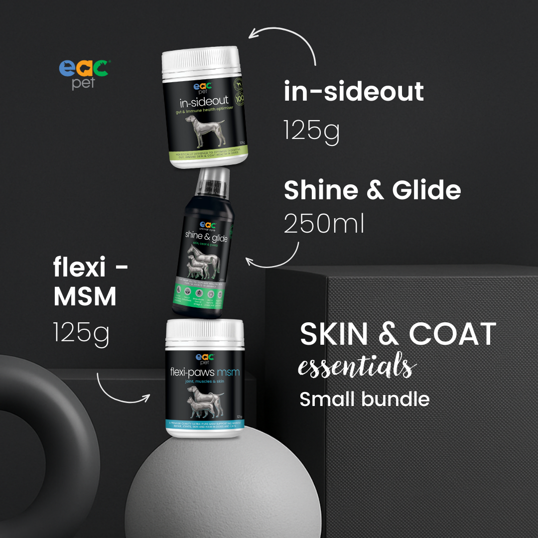 Skin and Coat Essentials for Itchy, Paw Licking Dogs