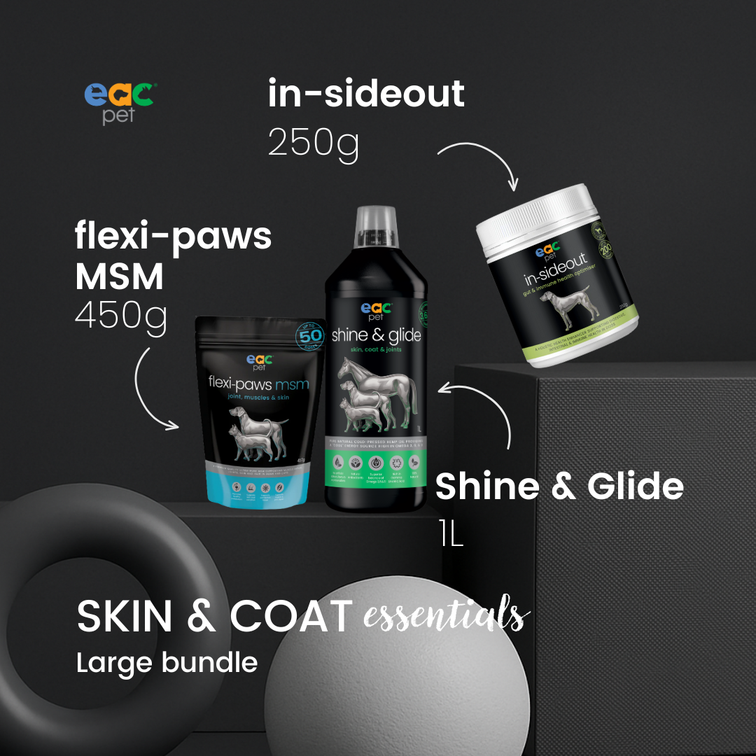 Skin and Coat Essentials for Itchy, Paw Licking Dogs