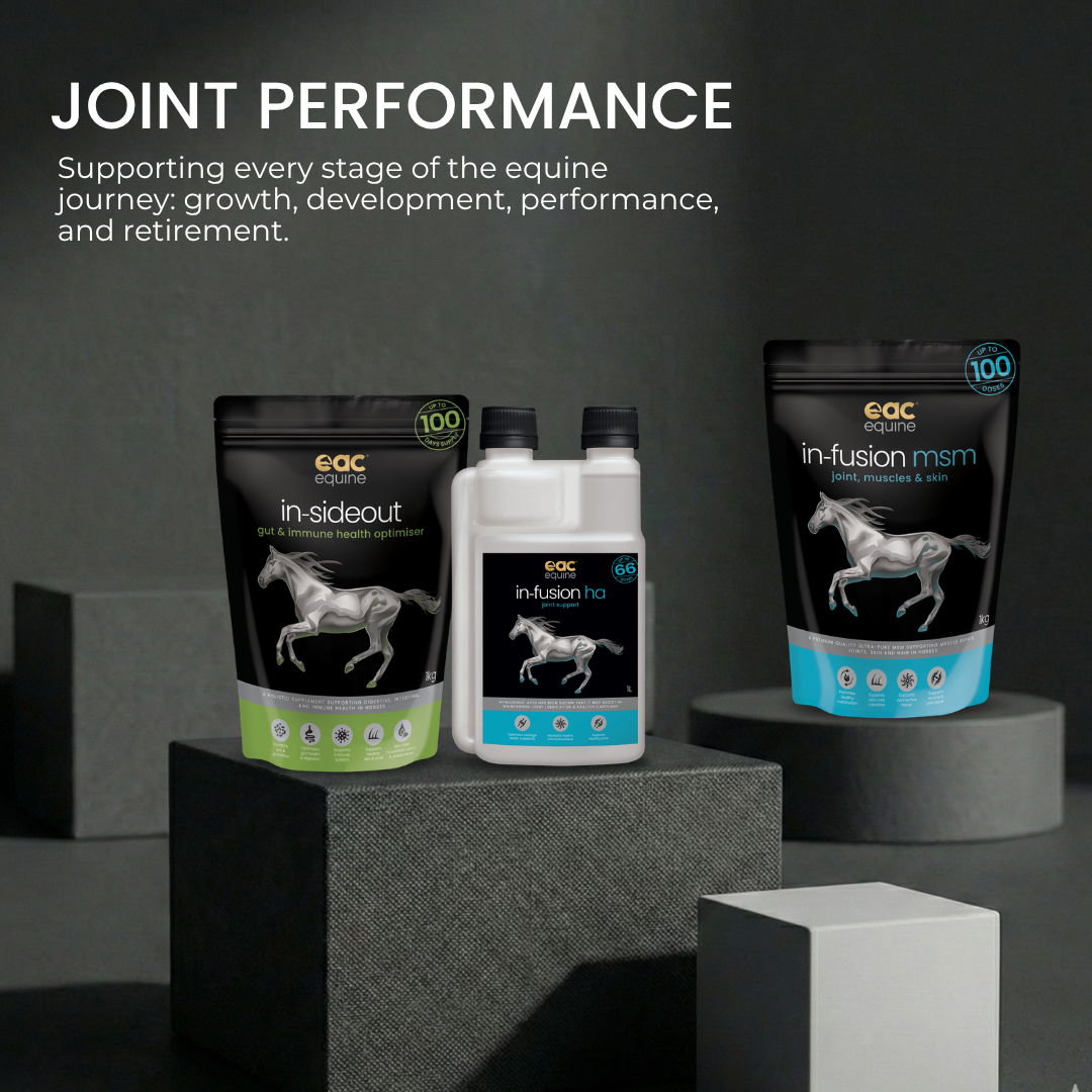 Equine Joint Performance - Complete Joint Support for Growing, Performance &amp; Senior Horses