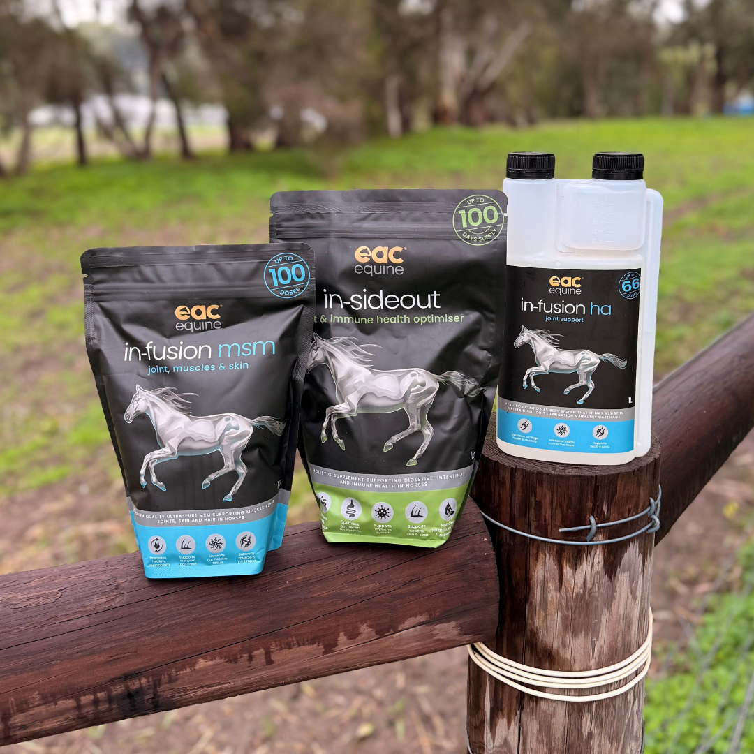 Equine Joint Performance - Complete Joint Support for Growing, Performance &amp; Senior Horses
