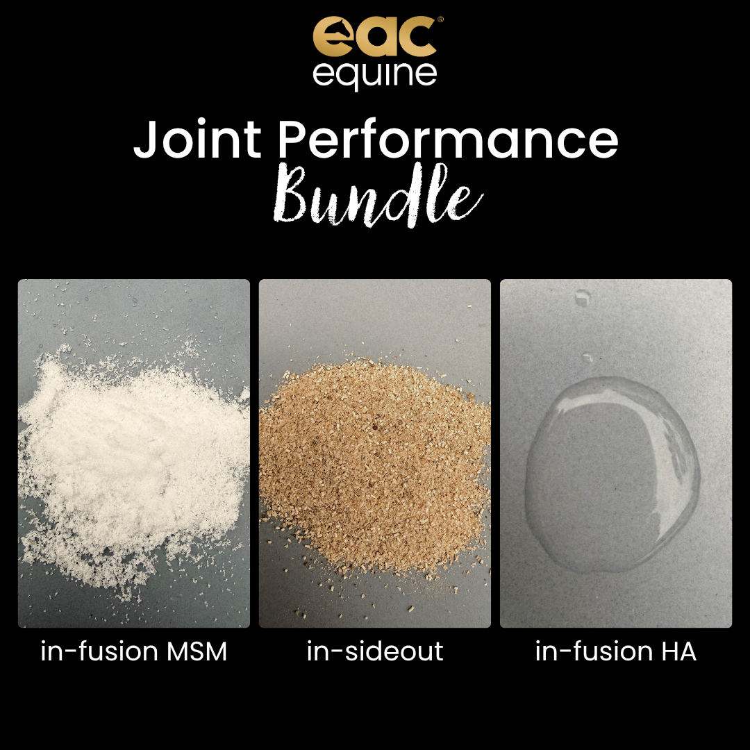 Equine Joint Performance - Complete Joint Support for Growing, Performance &amp; Senior Horses