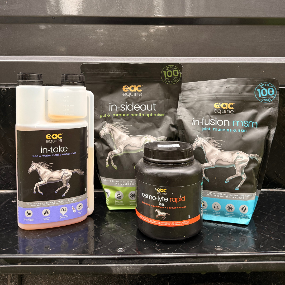 Travel Essentials Bundle  - Complete Travel &amp; Competition Support for Horses