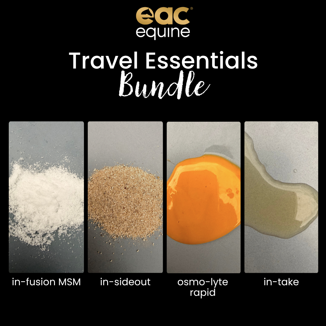 Travel Essentials Bundle  - Complete Travel &amp; Competition Support for Horses