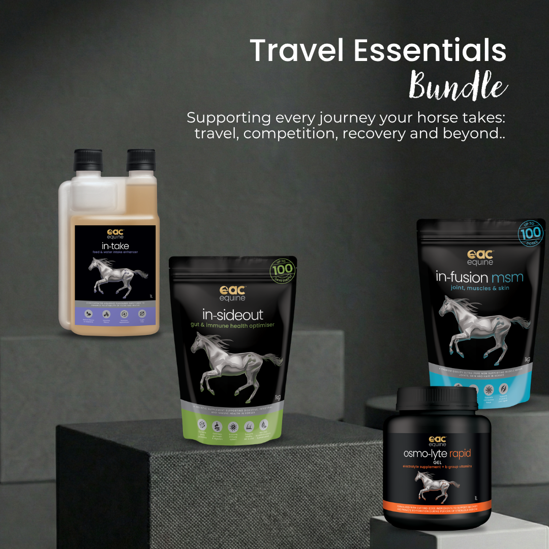 Travel Essentials Bundle  - Complete Travel &amp; Competition Support for Horses