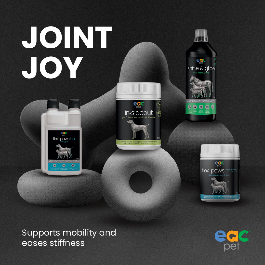 Joint Joy - Total Mobility &amp; Comfort for Senior Dogs &amp; Active Pets