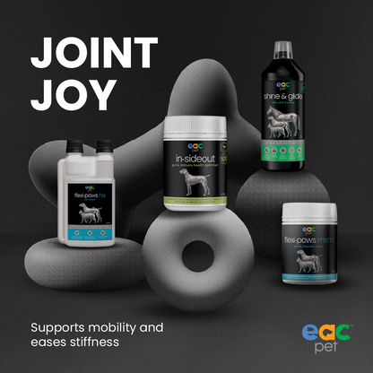 Joint Joy - Total Mobility &amp; Comfort for Senior Dogs &amp; Active Pets