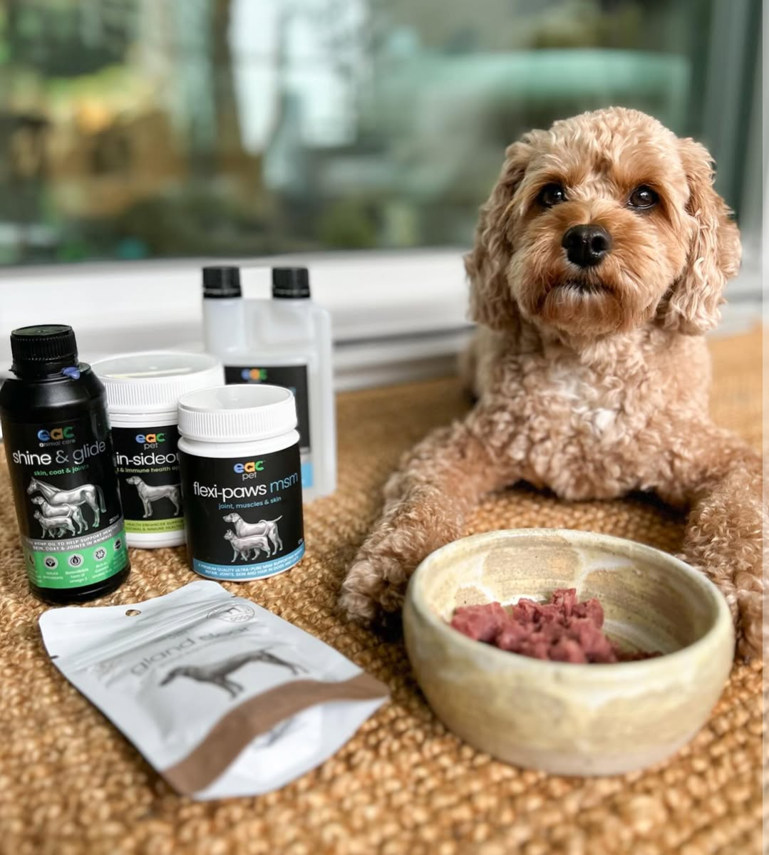 Joint Joy - Total Mobility &amp; Comfort for Senior Dogs &amp; Active Pets