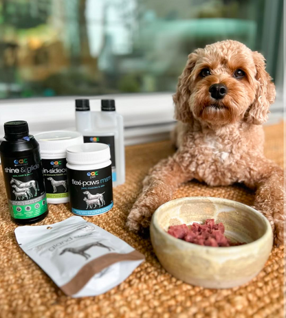 Joint Joy - Total Mobility &amp; Comfort for Senior Dogs &amp; Active Pets