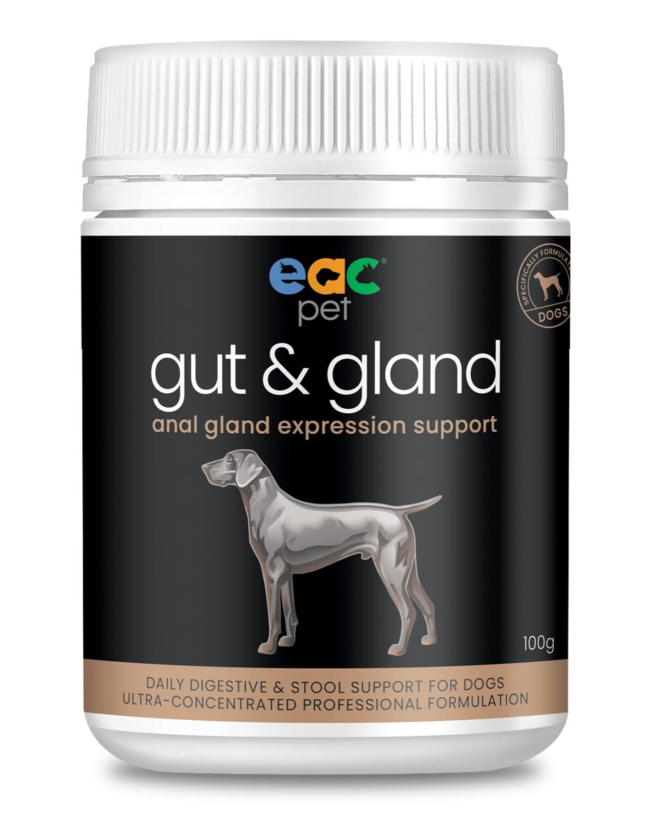 gut &amp; gland Daily Stool Firming &amp; Anal Gland Support for Dogs