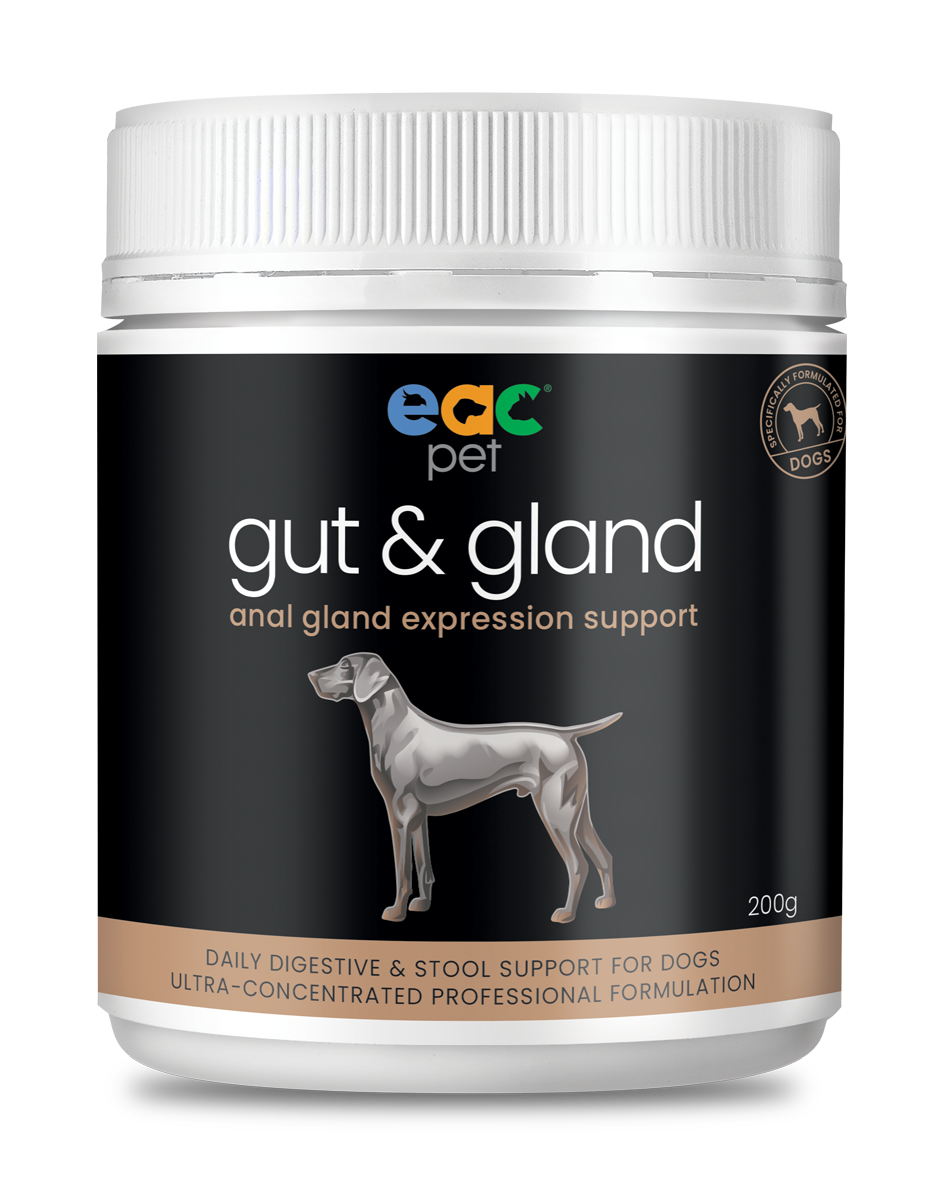 gut &amp; gland Daily Stool Firming &amp; Anal Gland Support for Dogs