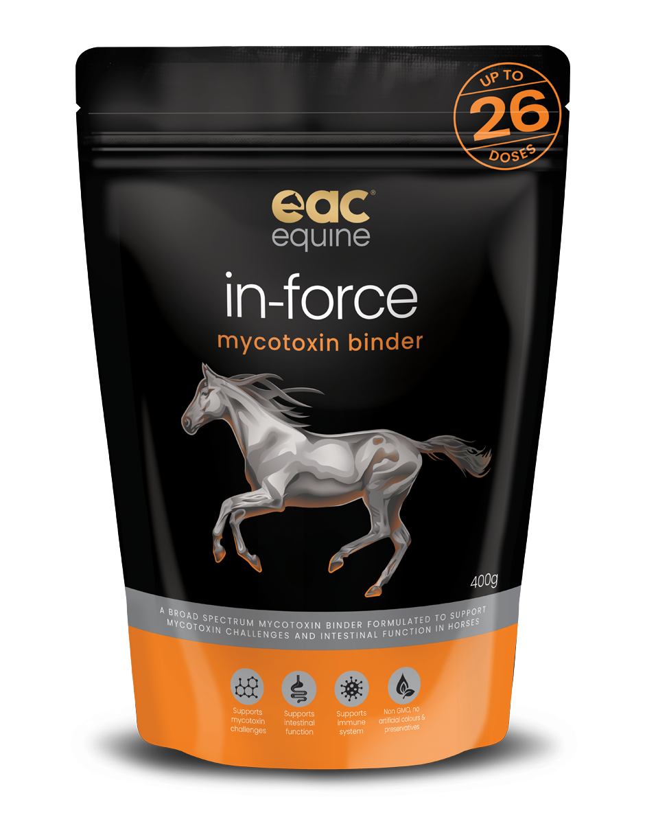 in-force - Mycotoxin Binder For Horses