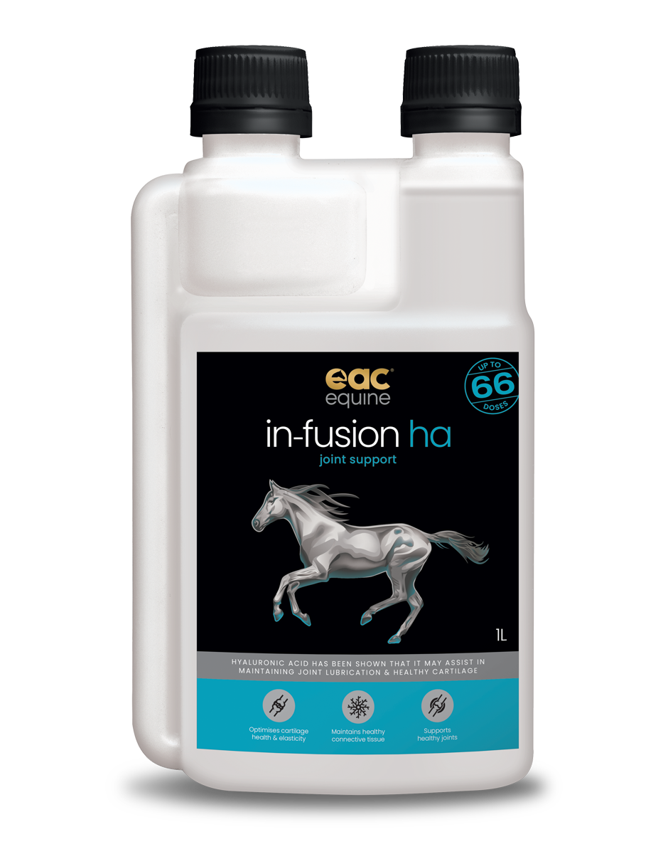 🎁 in-fusion ha - High Quality Hyaluronic Acid Supplement For Horses, Dogs & Cats (10% off)