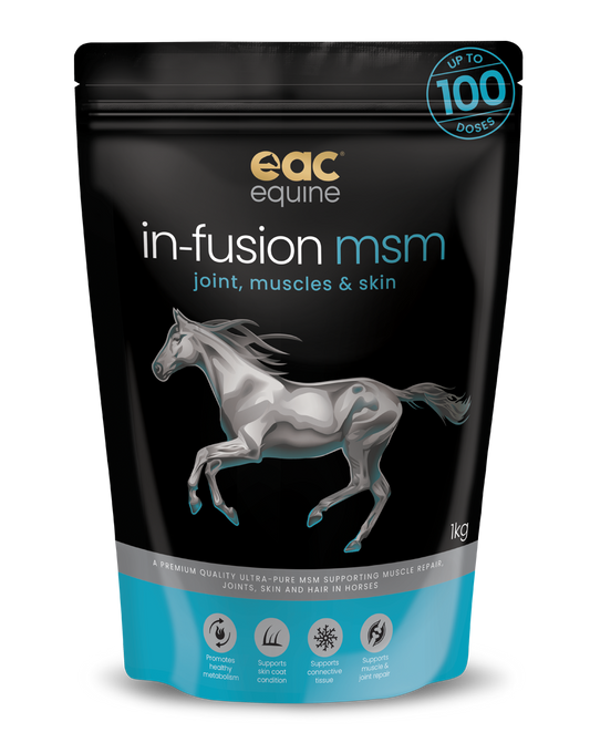 🎁 in-fusion msm - Ultra Pure Methylsulfonylmethane Joint Supplement For Horses, Dogs & Cats (10% off)
