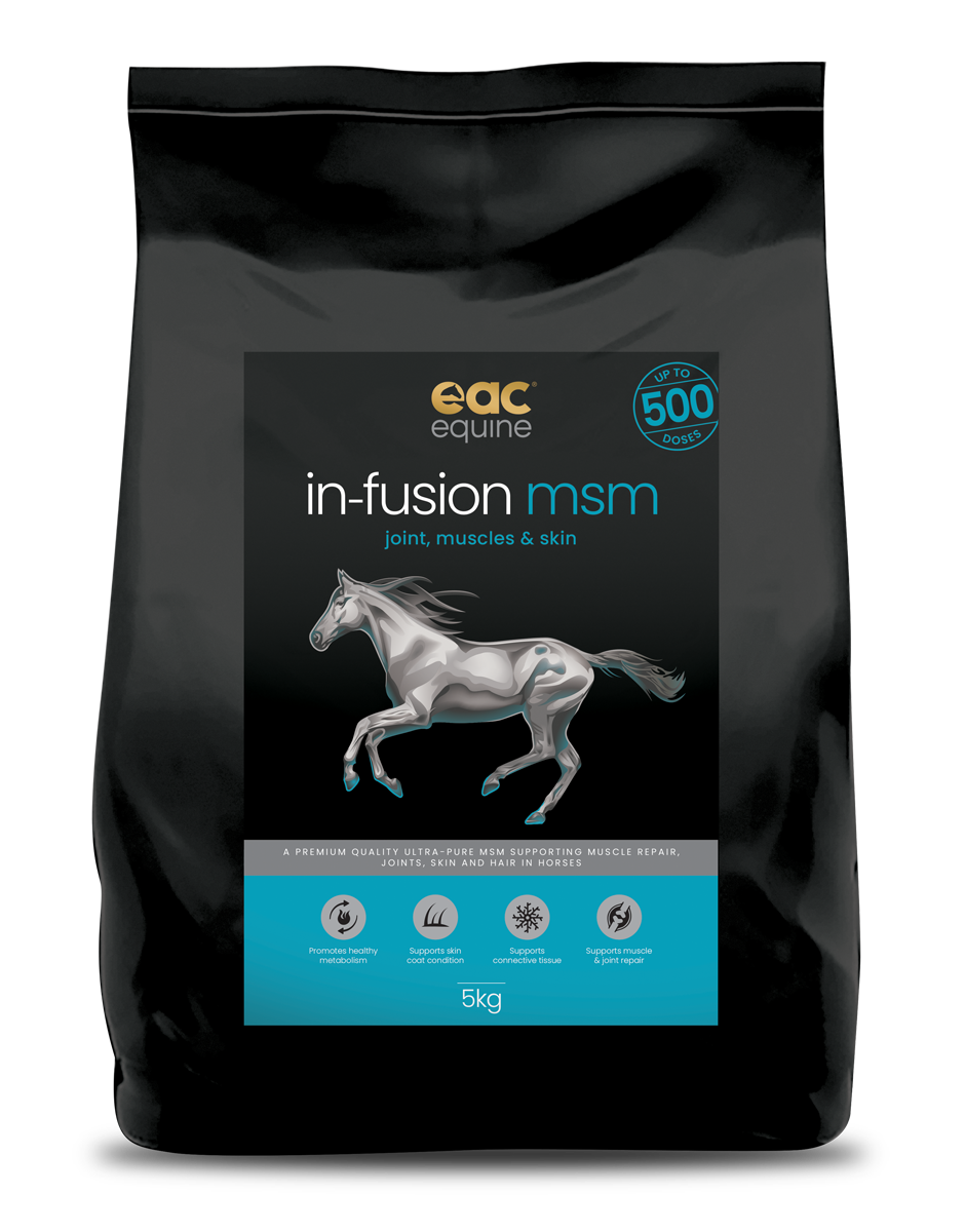 in-fusion msm - Ultra Pure Methylsulfonylmethane Joint Supplement For Horses, Dogs & Cats