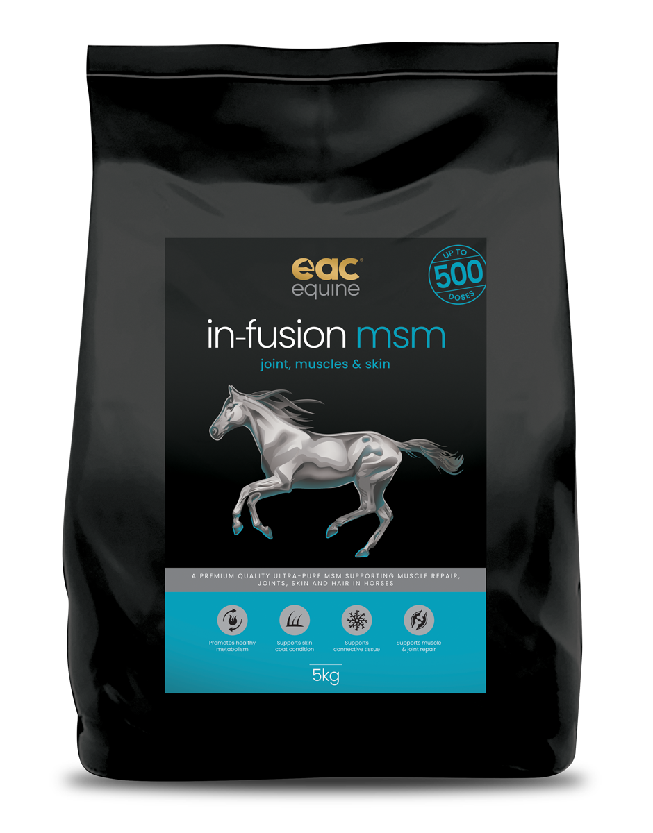 in-fusion msm - Ultra Pure Methylsulfonylmethane Joint Supplement For Horses, Dogs &amp; Cats