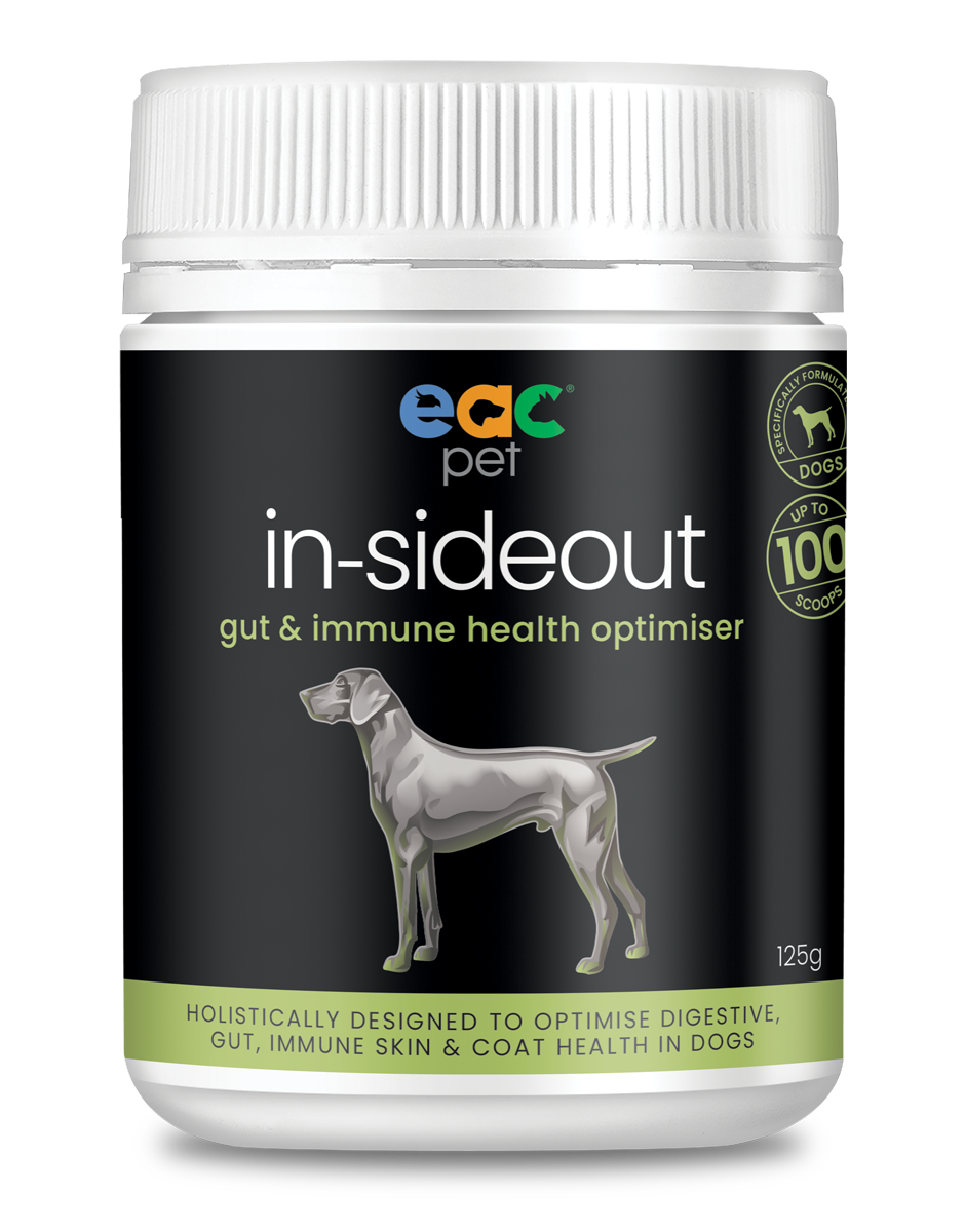 in-sideout Dog Formula - Pre &amp; Probiotic Natural Nutraceutical Supplement For Dogs
